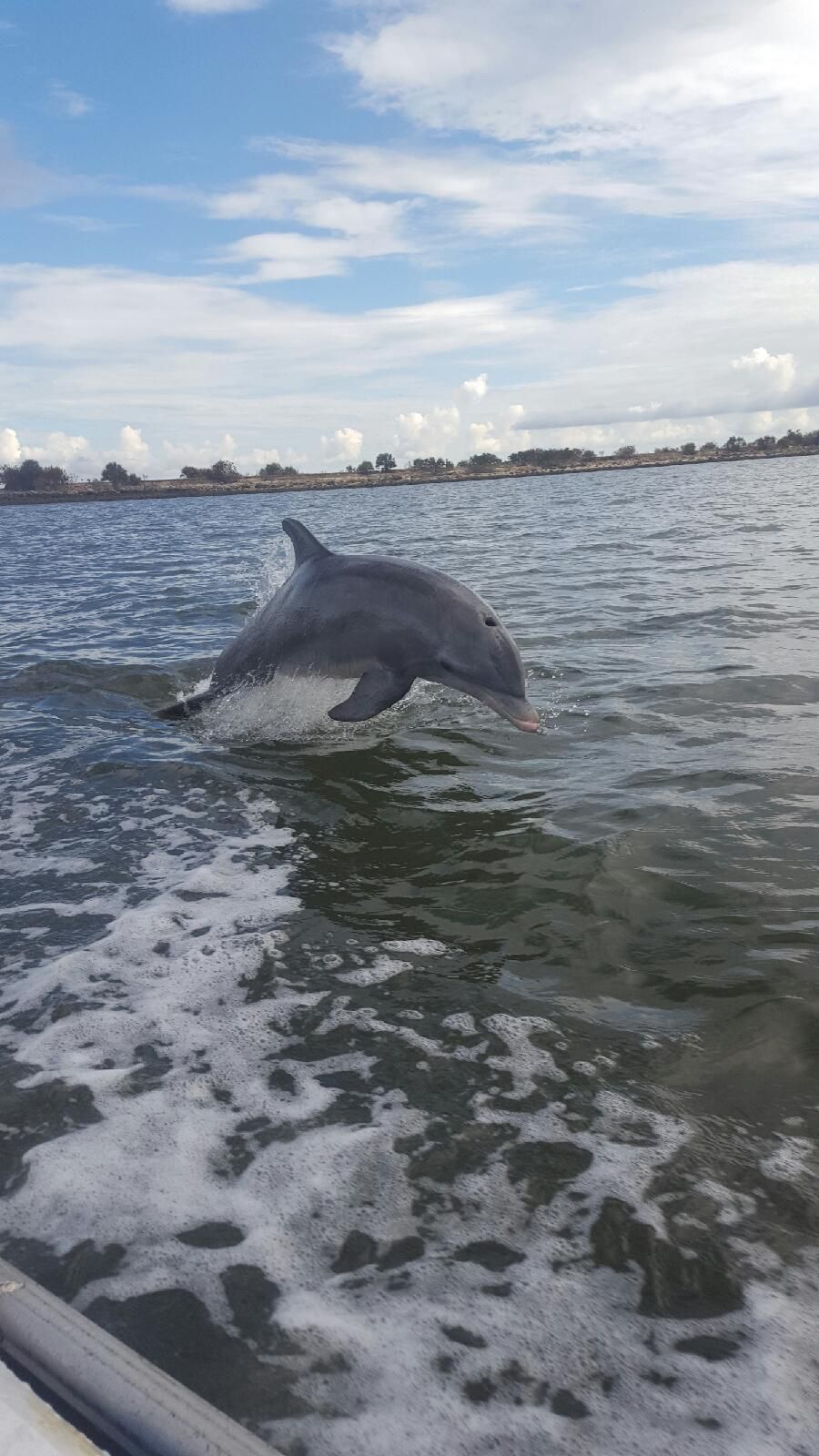 8 years of fishing, finally got the shot.