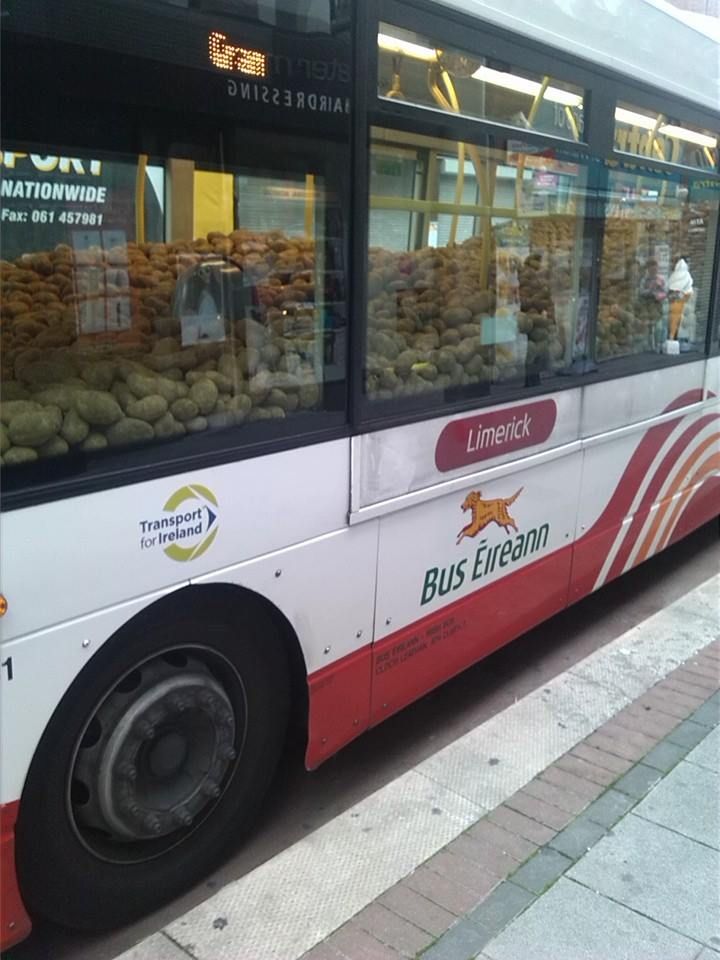 Only in Ireland would you see this