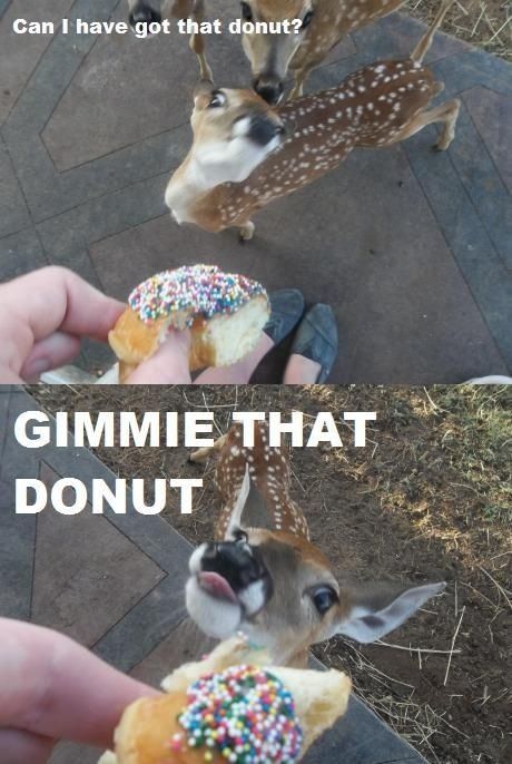 She's very fawned of doughnuts