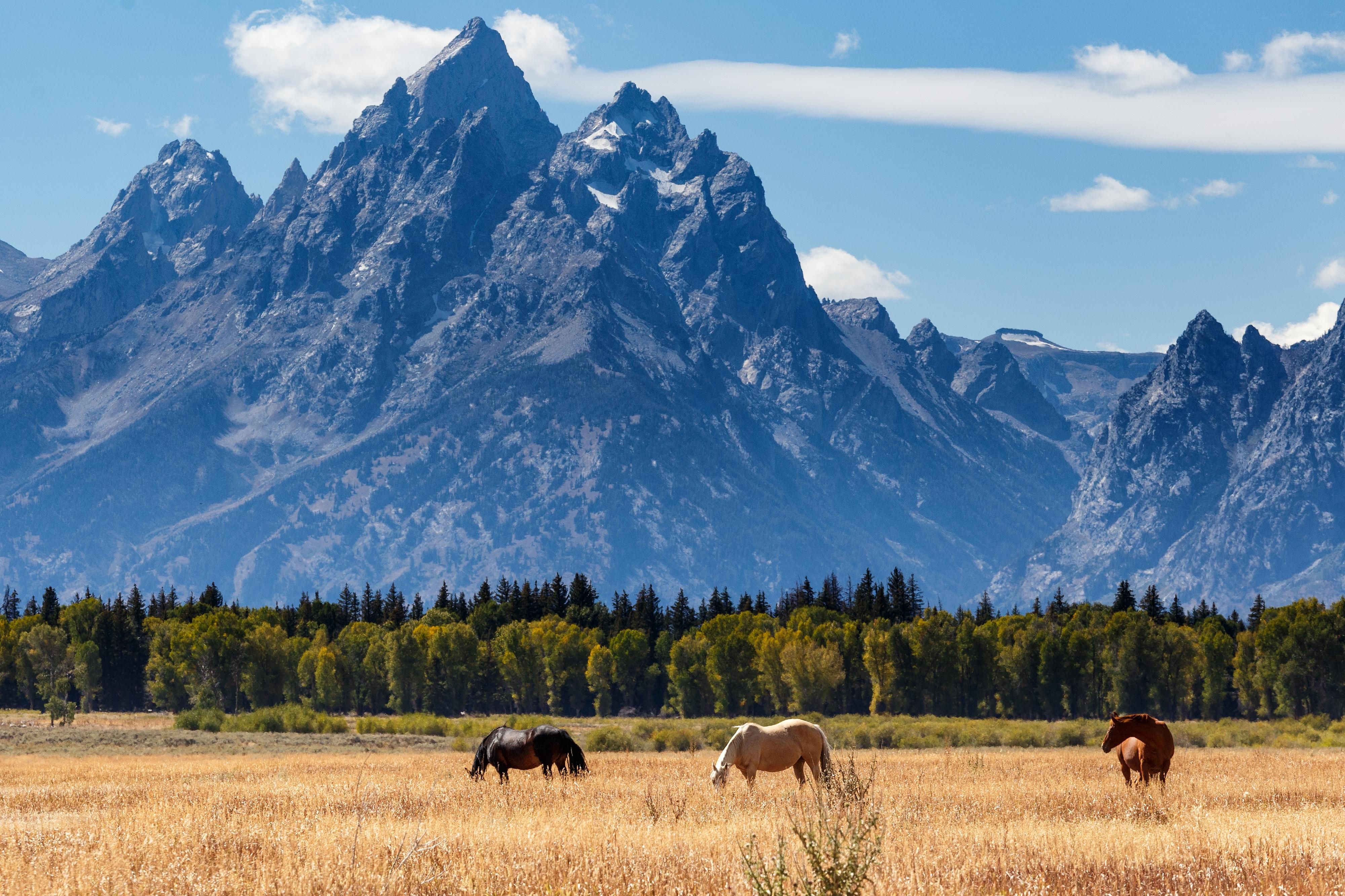 America in picture form. Grand Tetons National Park, Wyoming.