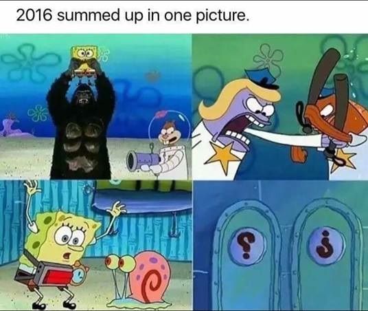 2016 Summed up in one picture