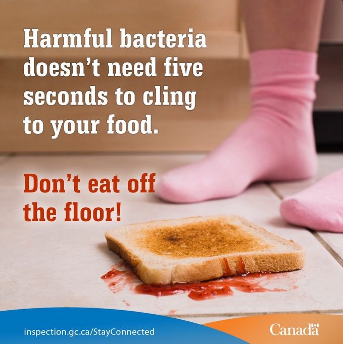 Apparently eating off of the floor is a big problem here in Canada.