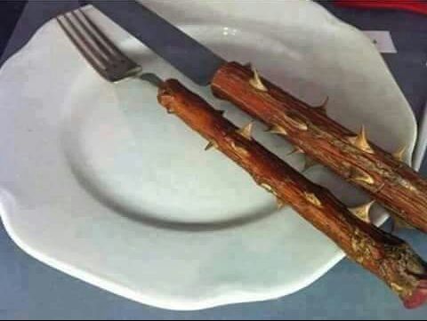 My new weight watchers utensils just came in...