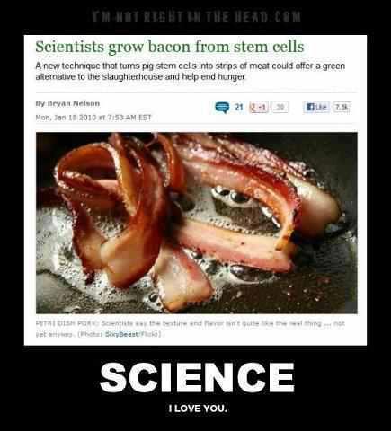 I love science