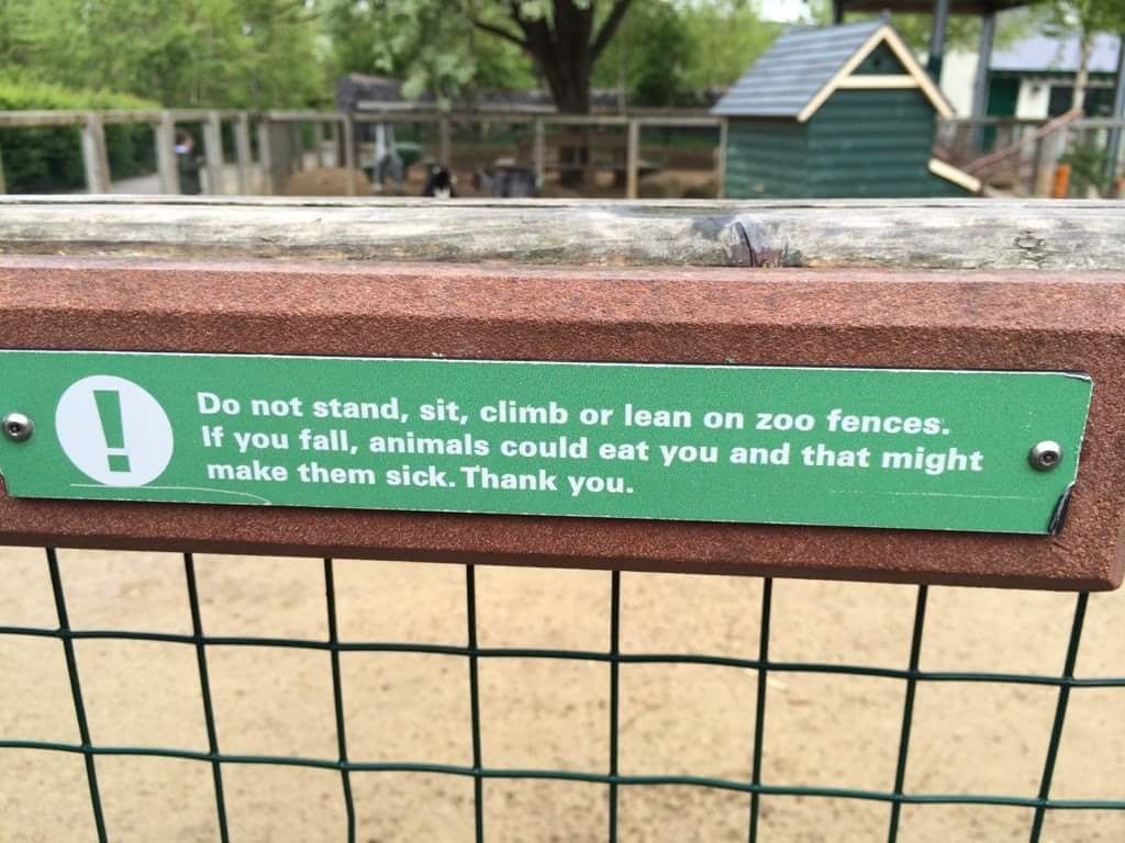 At the Dublin Zoo.