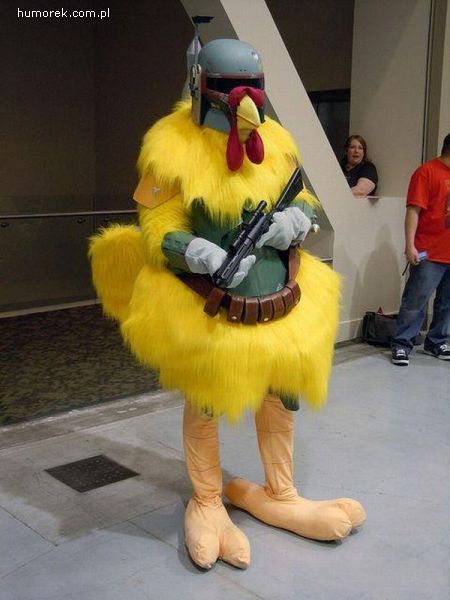 Googled Chicken with Gun. I was not disappointed.