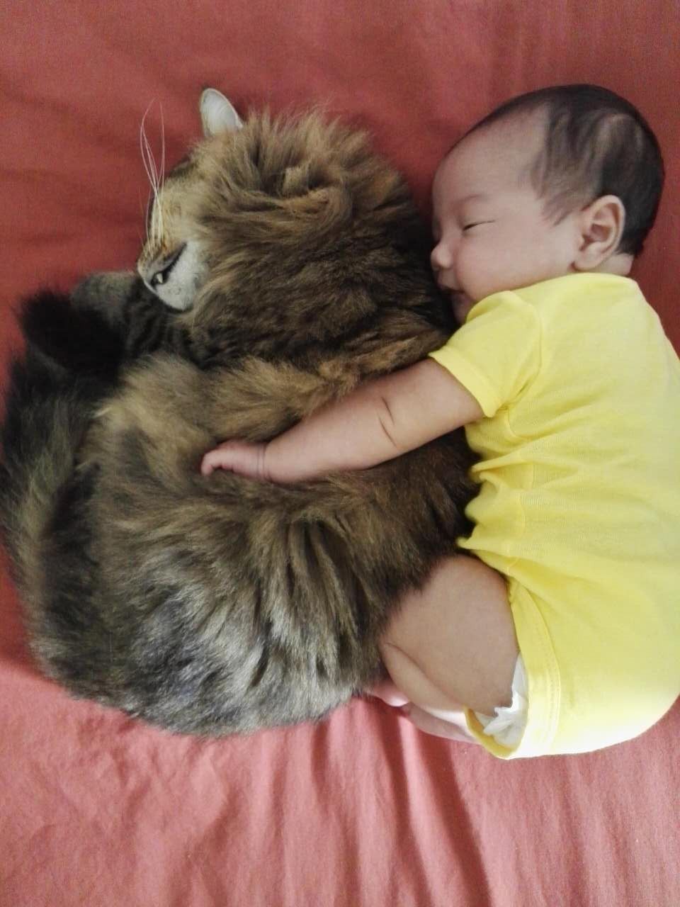 My wife sent me a message while i was at work saying the cat is watching the baby