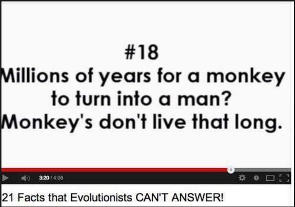 Check mate, evolutionists!