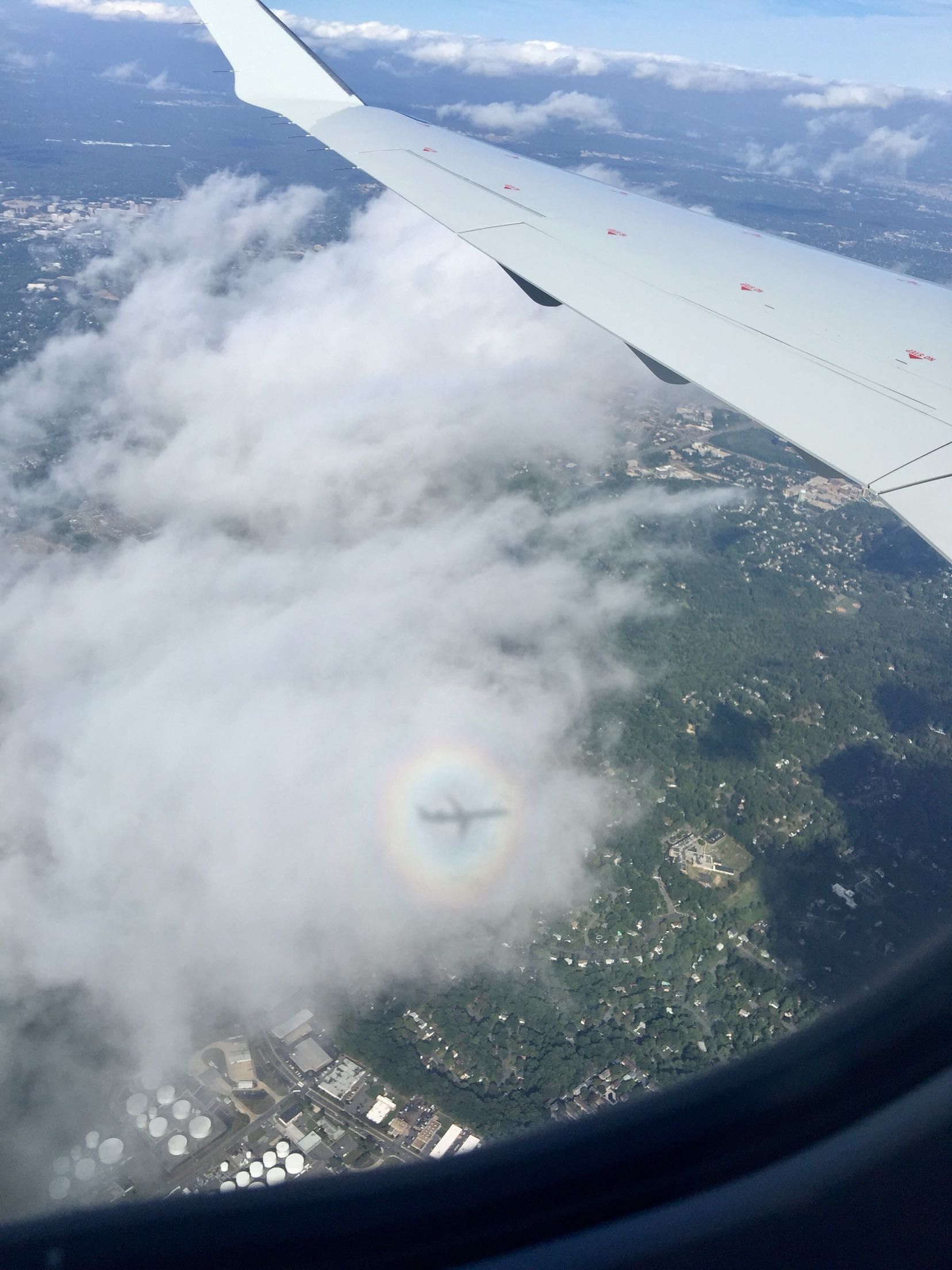 My plane's shadow on this cloud with a halo around it
