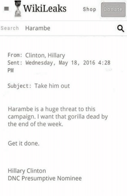 Hillary's Harambe agenda exposed!