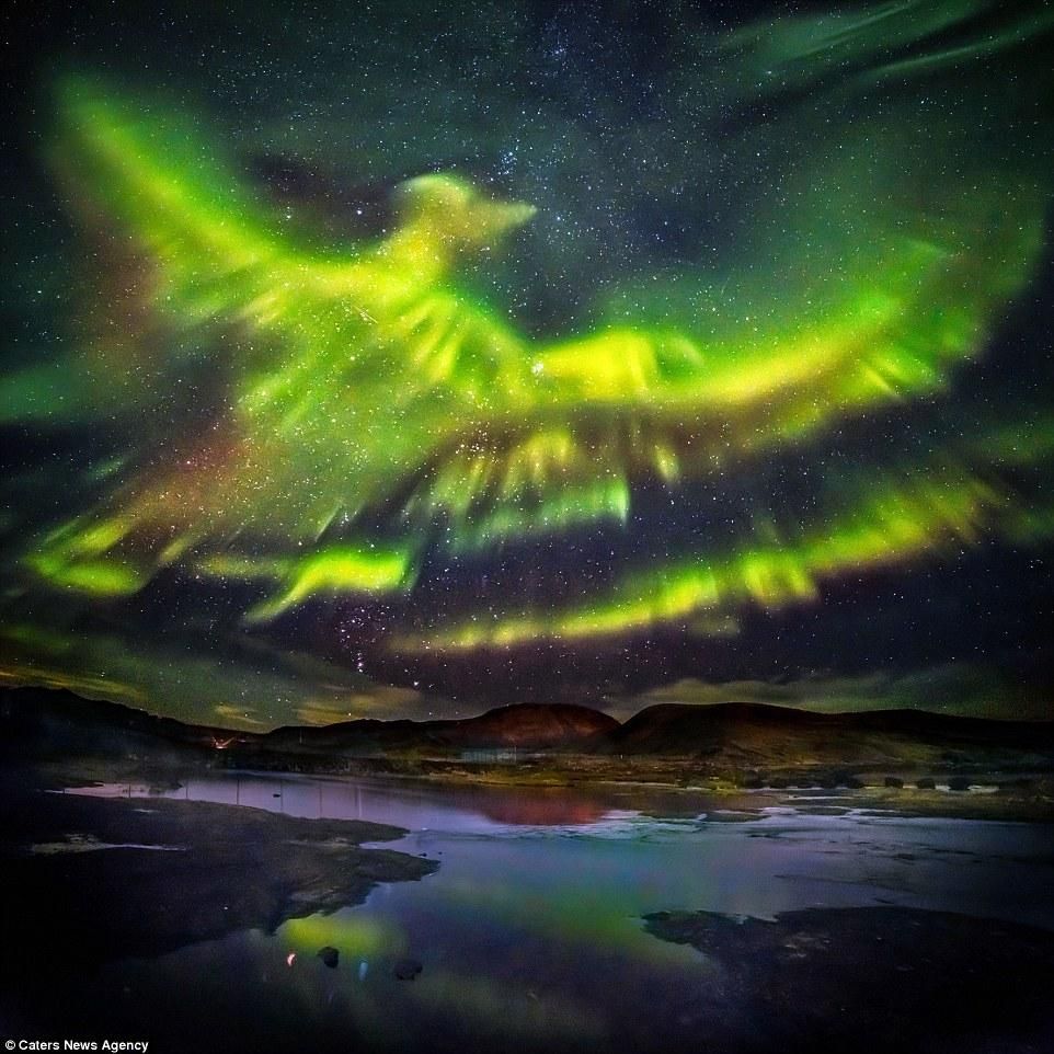 A rising Phoenix in Iceland.