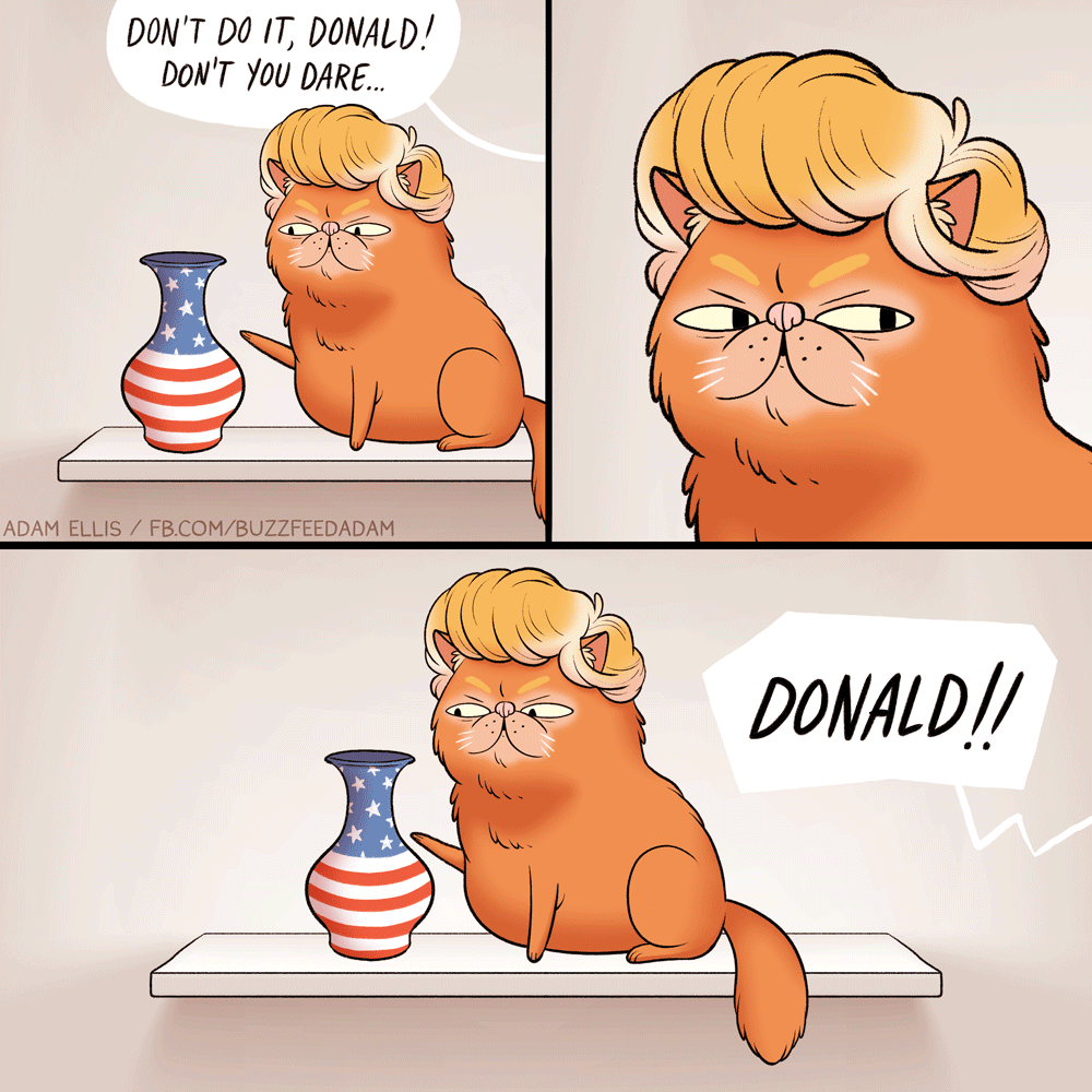 Don't do it, Donald!