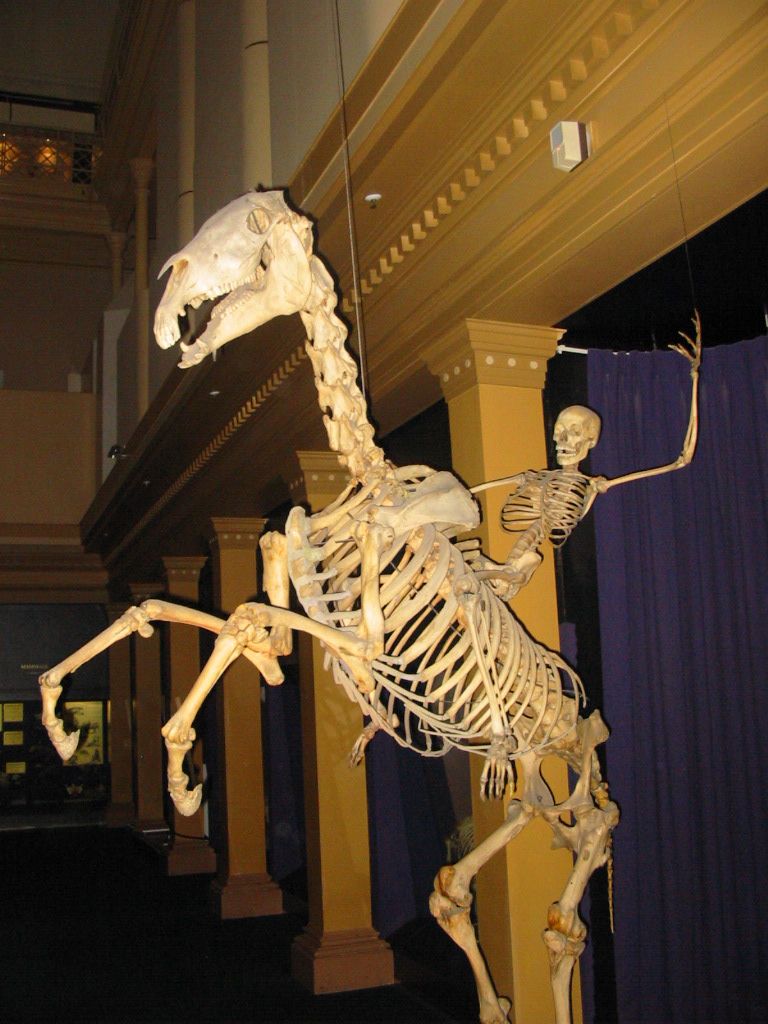 Rise in Bones my fellow skeletons!