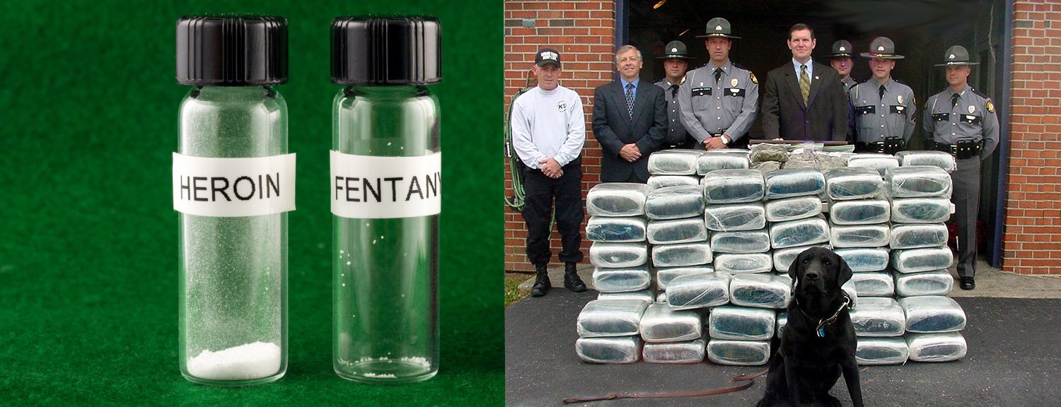 Lethal doses of heroin, fentanyl, and marijuana side by side.