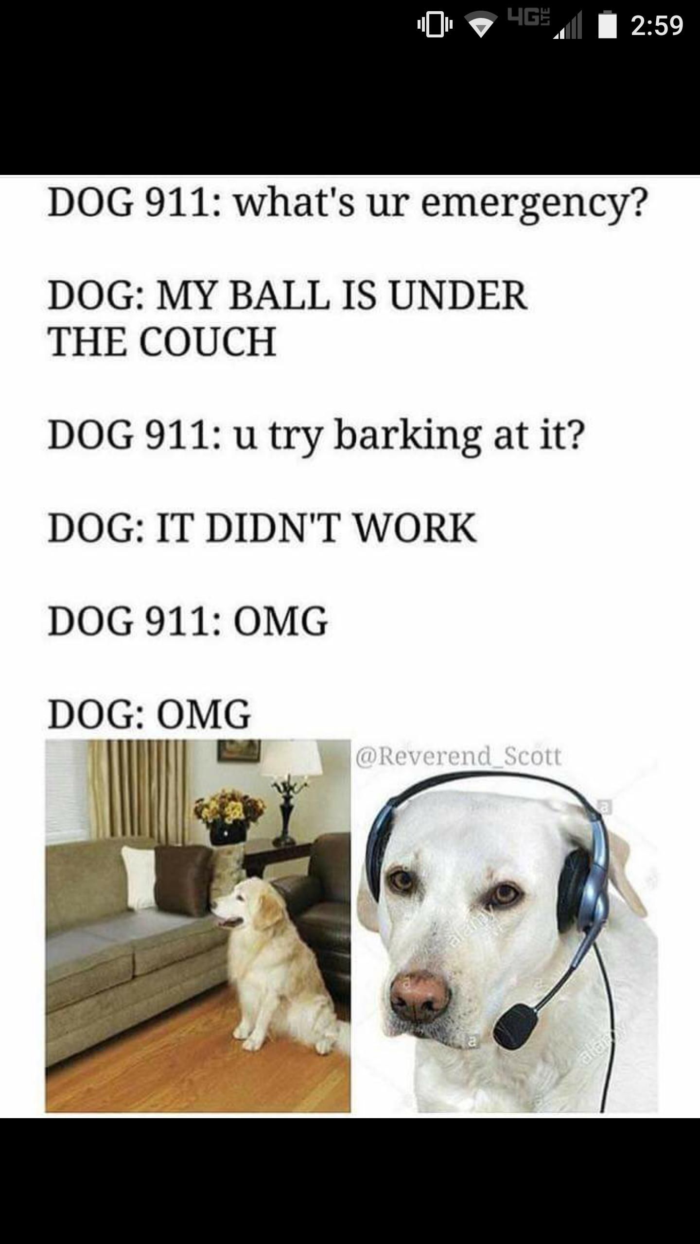 911 Doggo Emergency