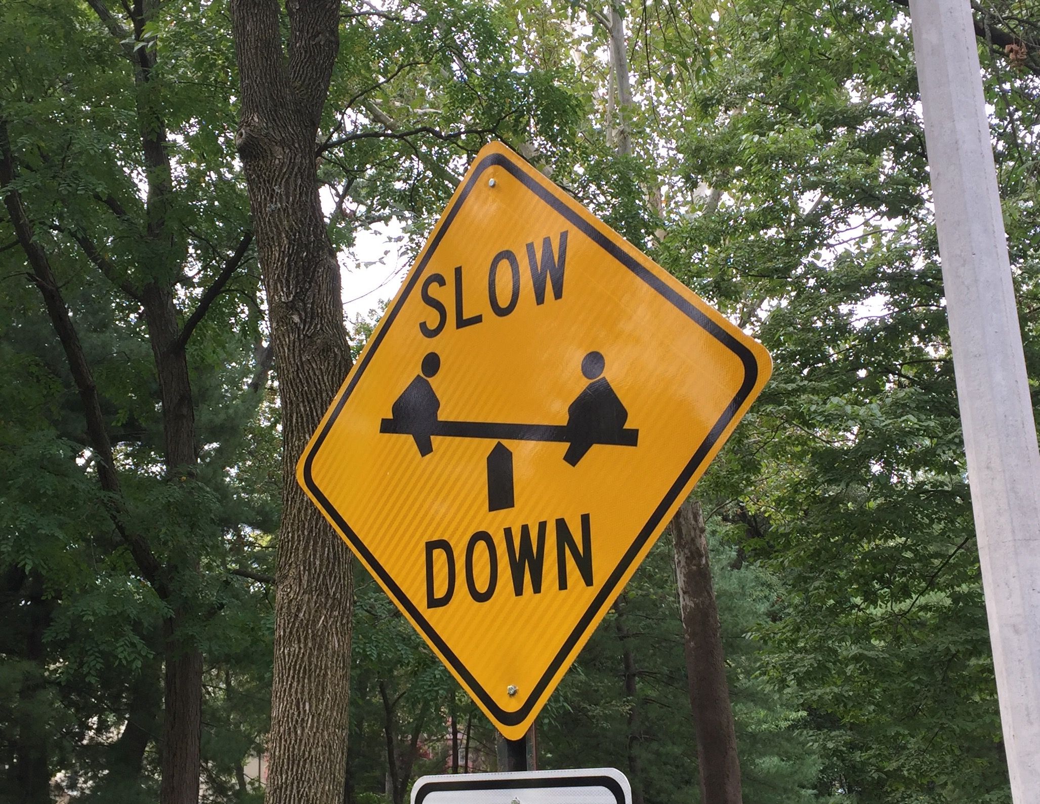 Slow down-- you're going to want to see these fat kids seesaw.