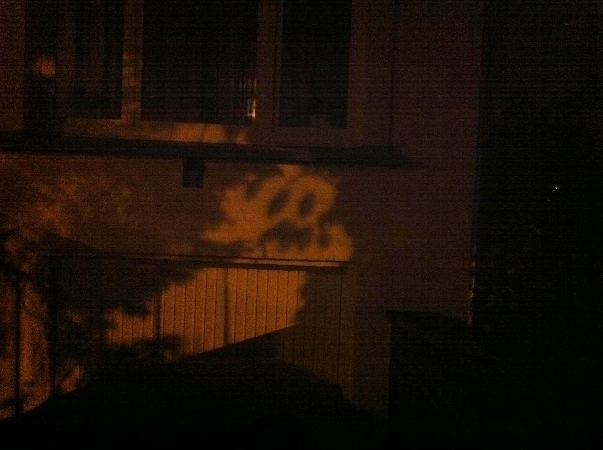 Streetlight through the trees on his driveway showed a ghost on my neighbor's garage door.