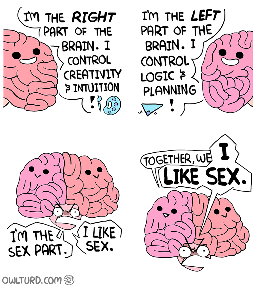 Brains are amazing.