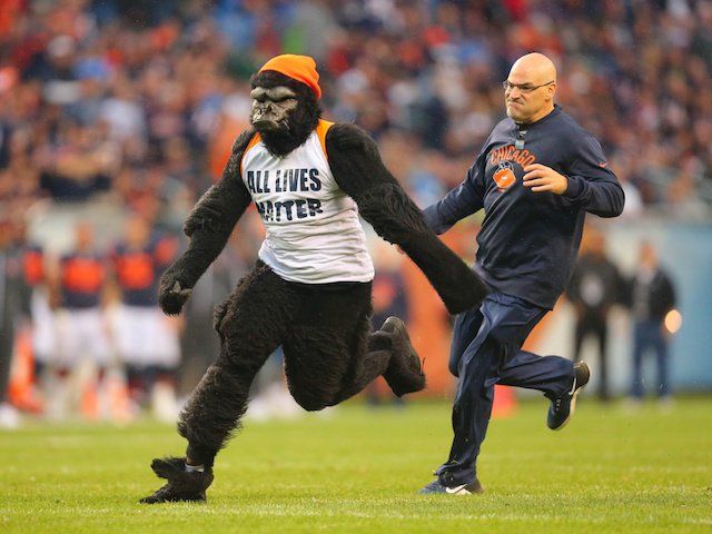 Harambe and his sidekick spread the message