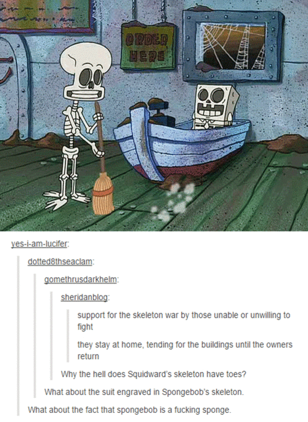 Sponges made of calcium confirmed