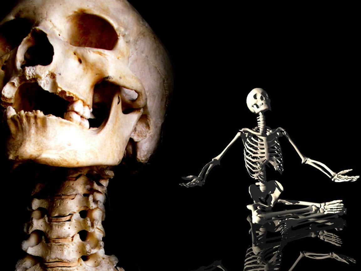 When people finally start to post good skeltal memes