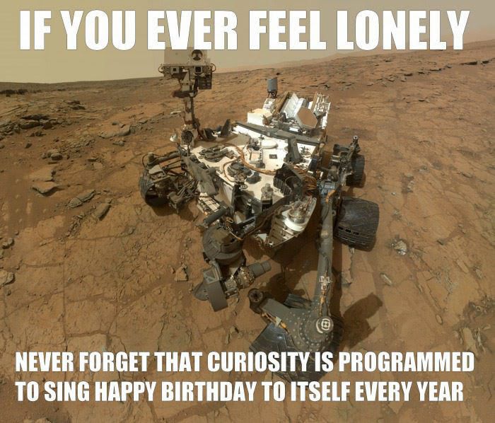 If you ever feel lonely...