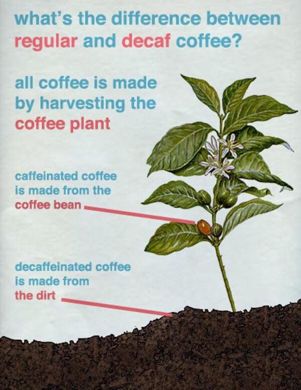 SO bought decaf, can't say I disagree