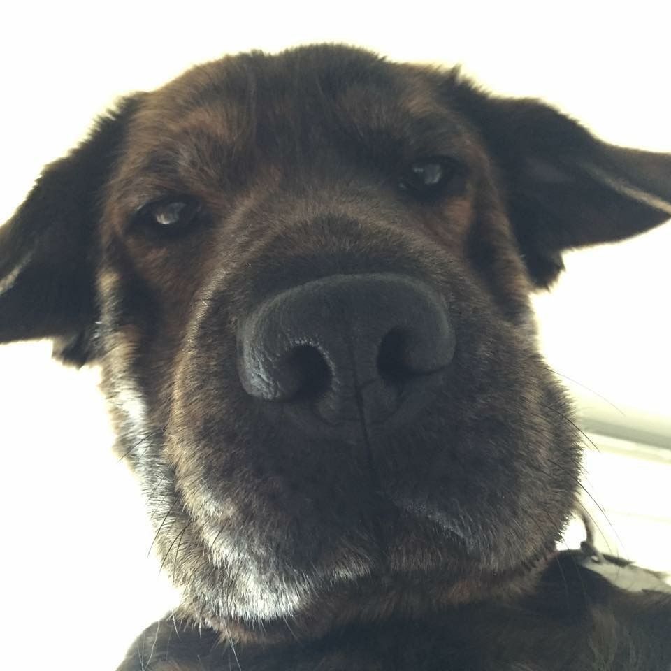 When you accidentally open the front camera
