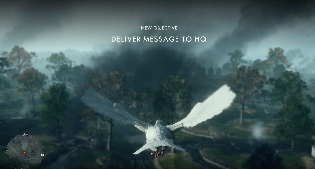 You can play as a pigeon in BF1