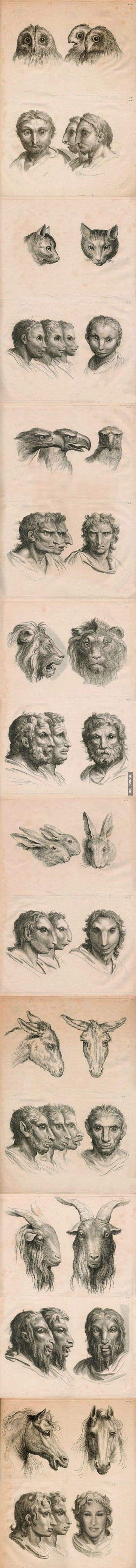 Pencil drawings of what humans would look like if they had evolved from different animal heritages other than apes. Interesting work on possible races, facial distinctions, etc.