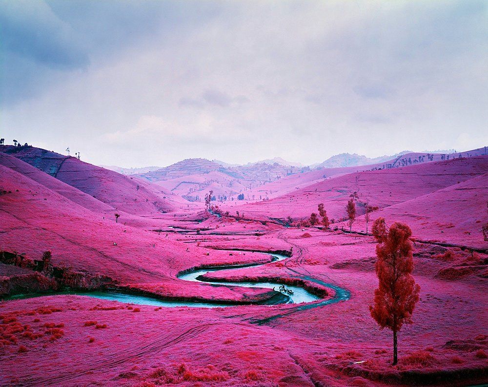 The Congo - 'The Color of War' by Richard Mosse