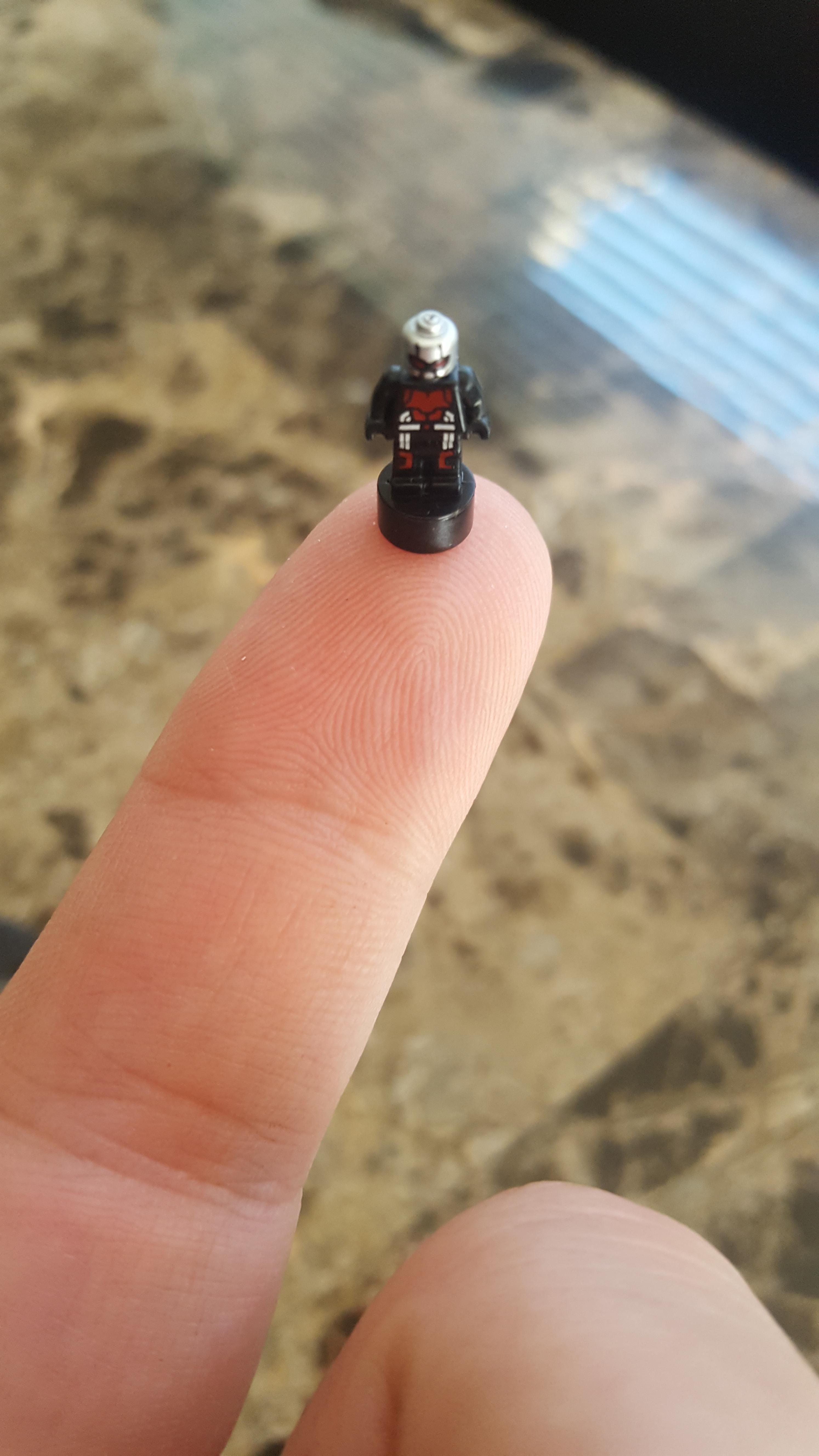 This is how tiny the Ant Man lego is.