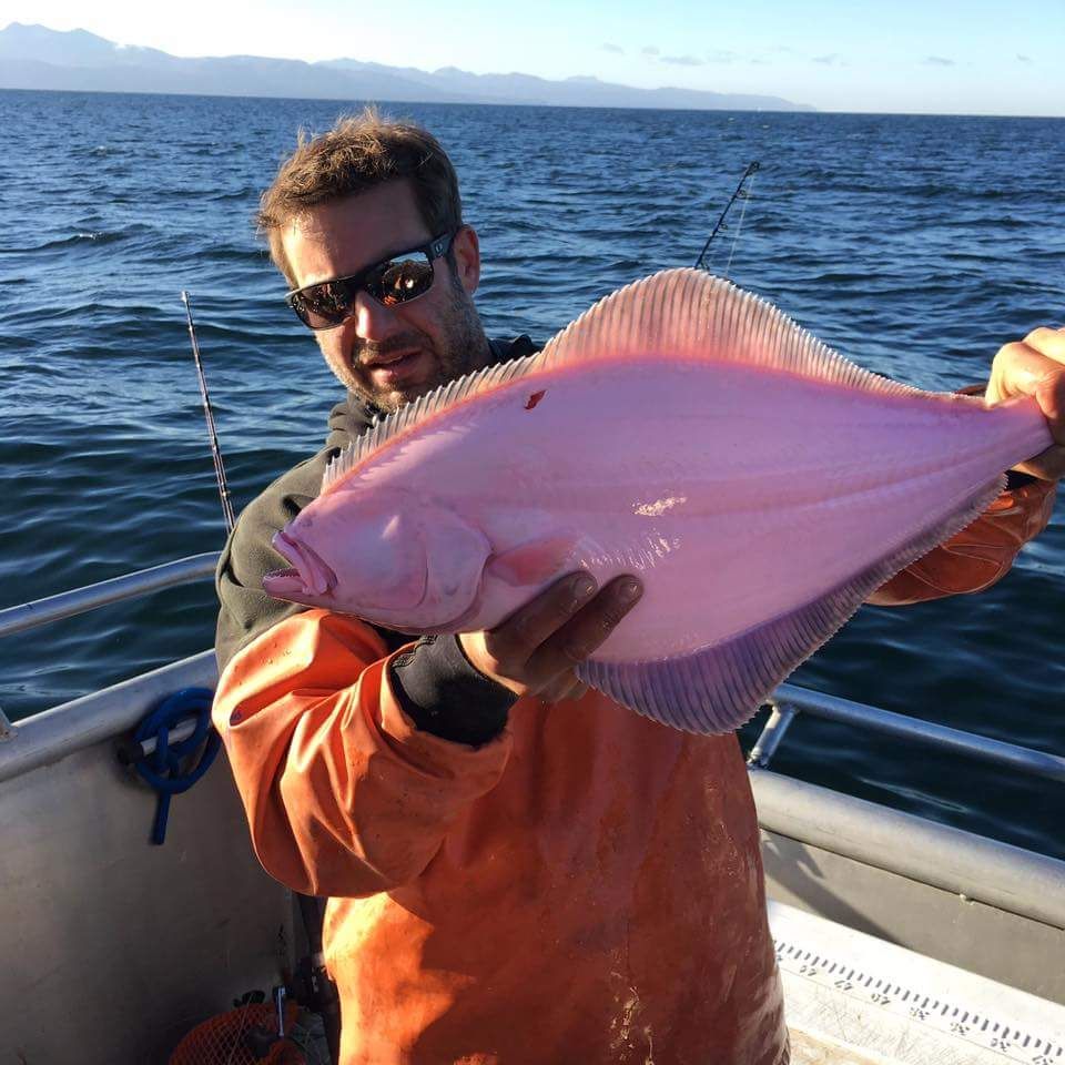 Weird pink halibut