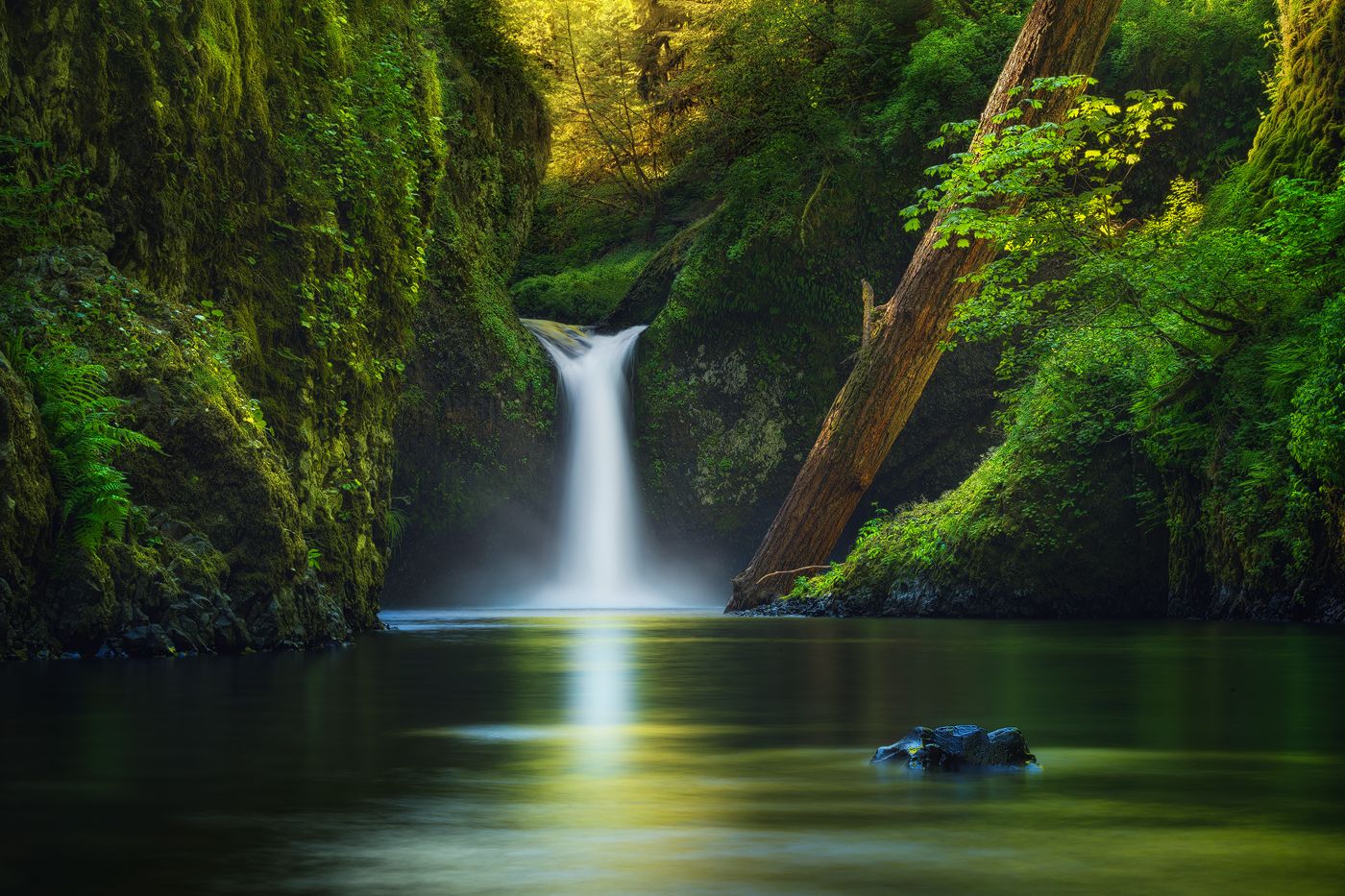I took this shot of Punch Bowl Falls in Oregon last Spring. It is a lush, green paradise on earth. By Victor Carreiro