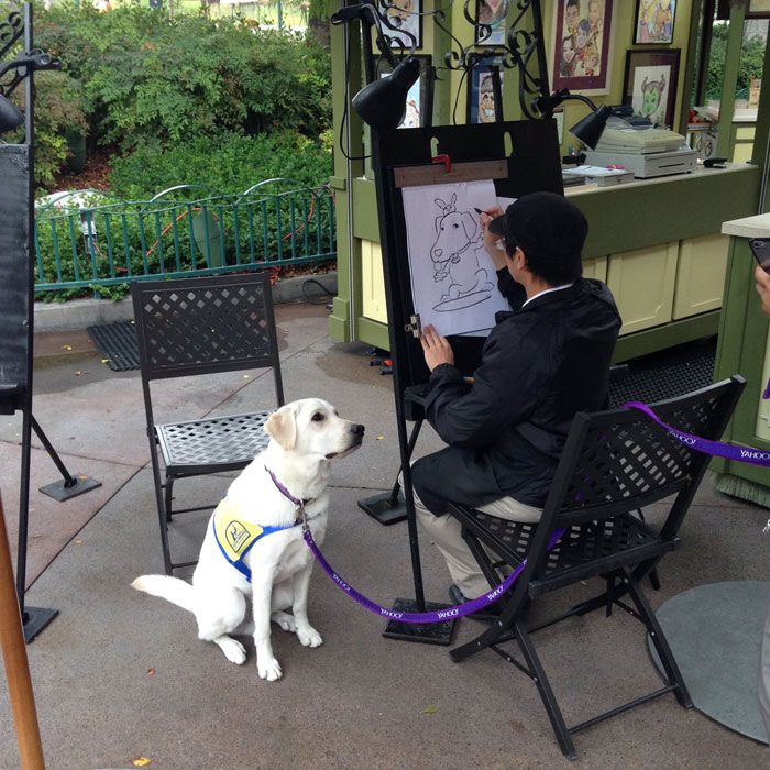 Someone Spotted A Service Dog Getting Caricature At Disneyland