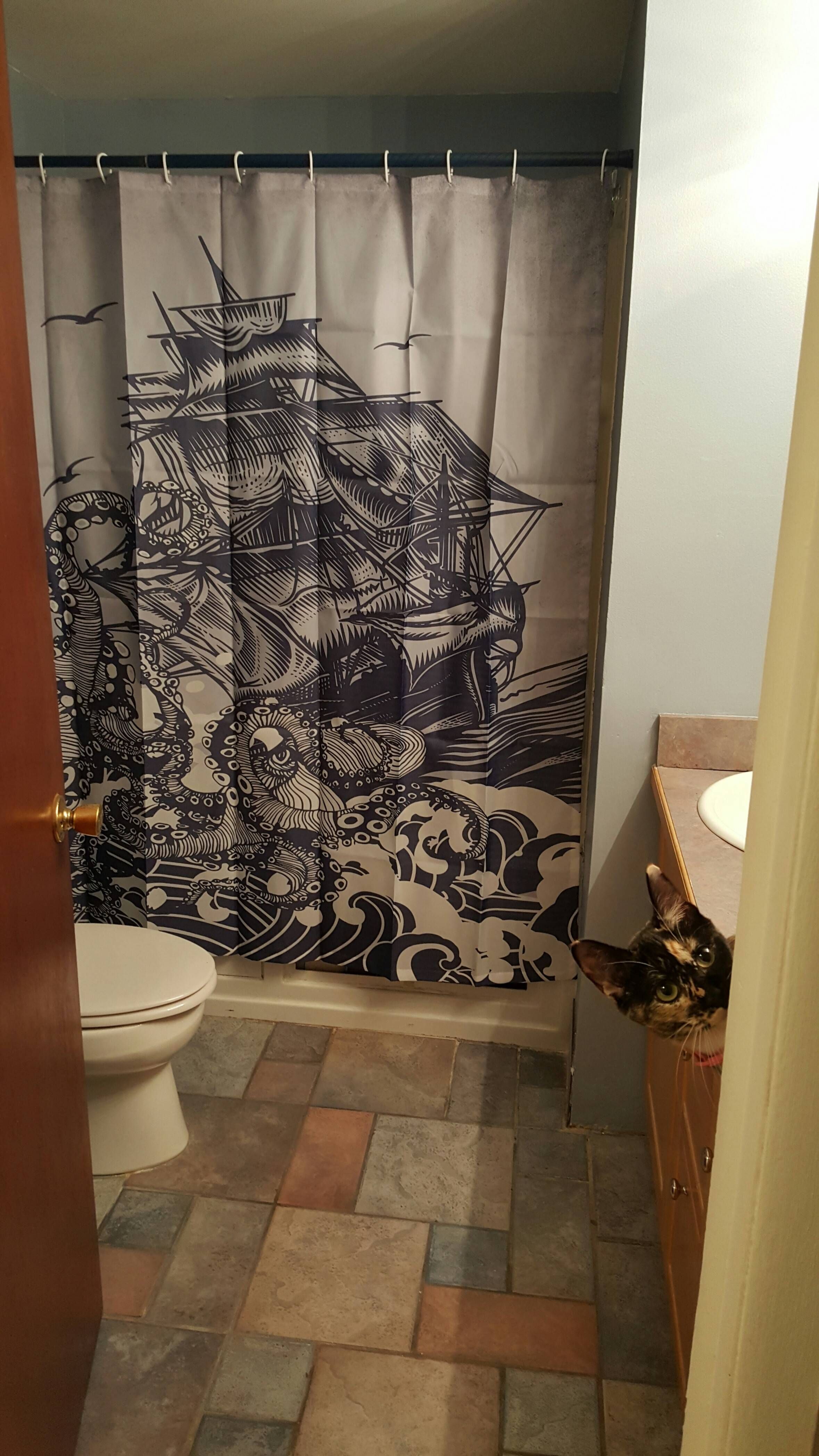 I got a new shower curtain, my cat is on board!