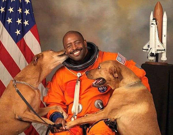 Astronaut Includes His Rescued Dogs in Best Official NASA Portrait Ever