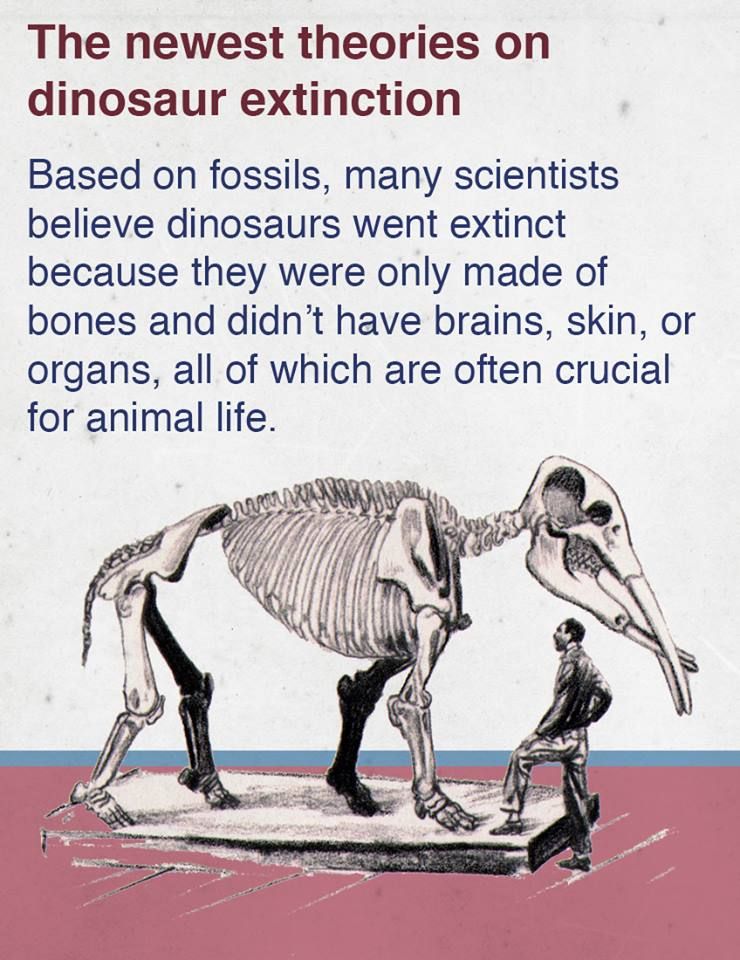 Except for the brain, after all we are OK