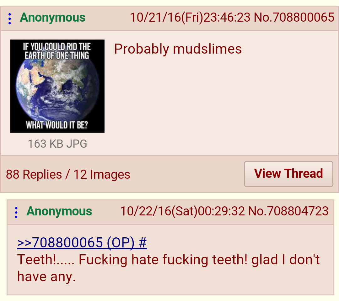 When /b/tards are set to solve world problems