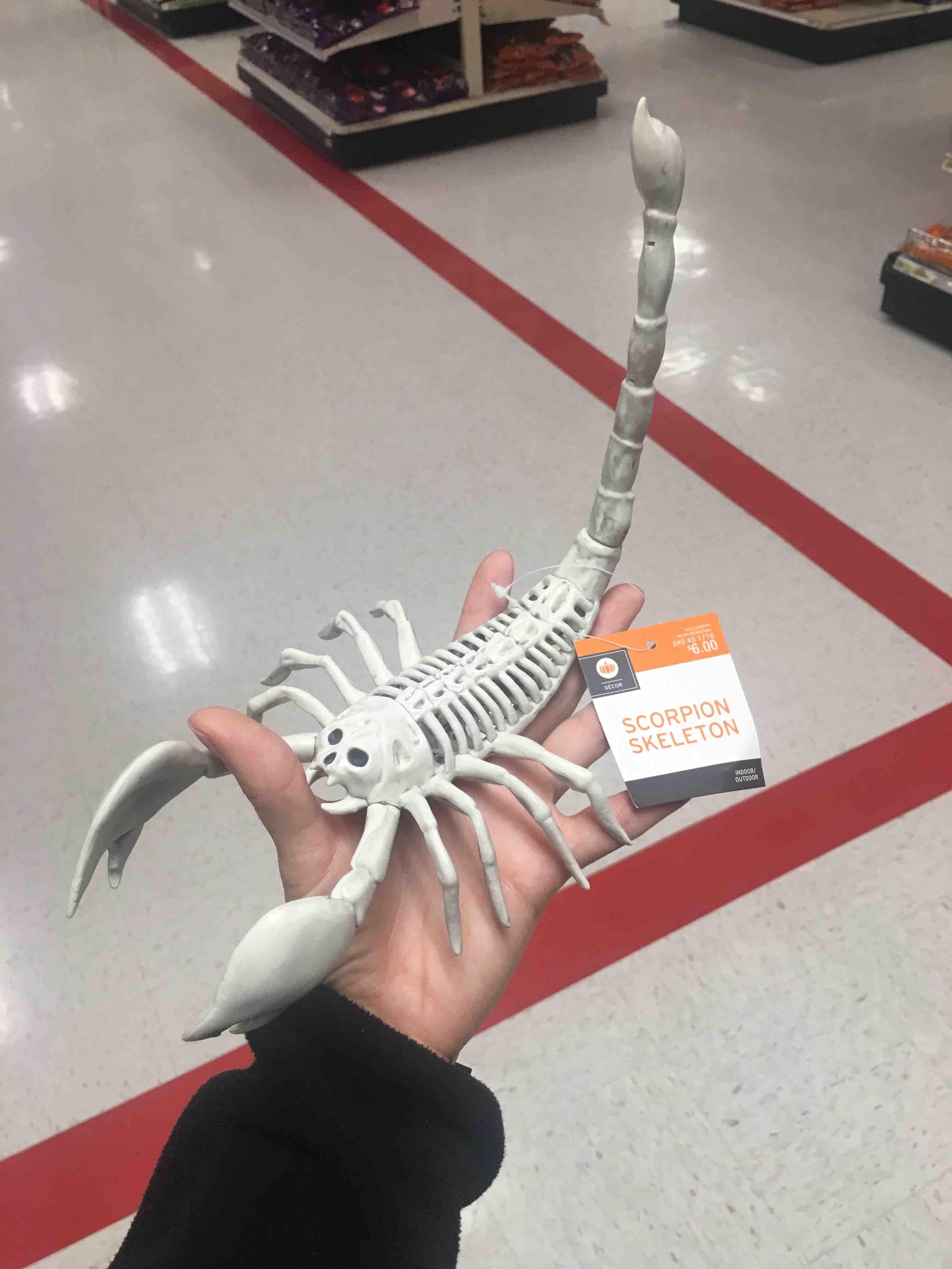 Target needs a biology lesson