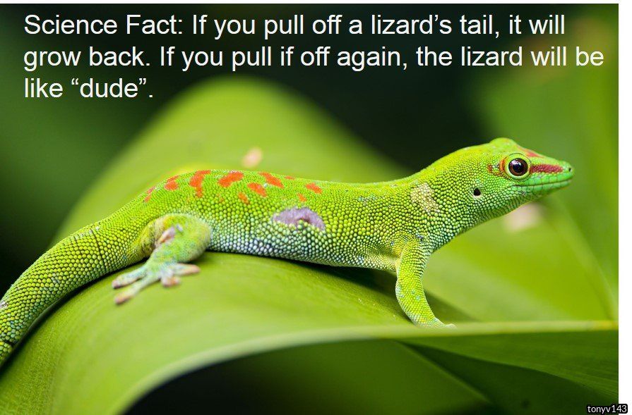 Science Fact