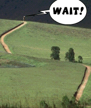 Wait!