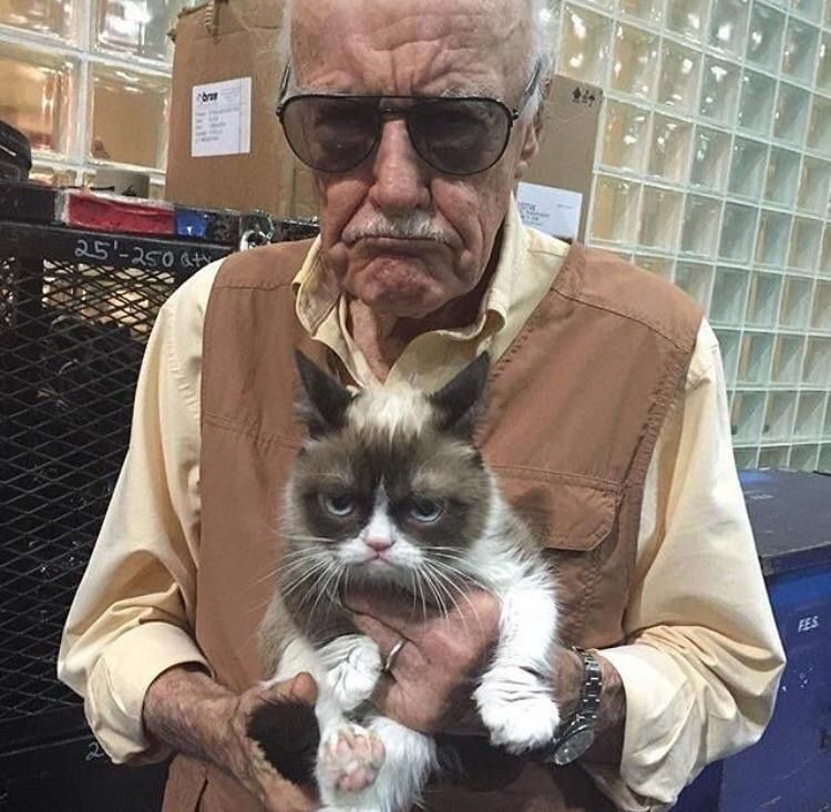 PsBattle: Stan Lee with Grumpy Cat