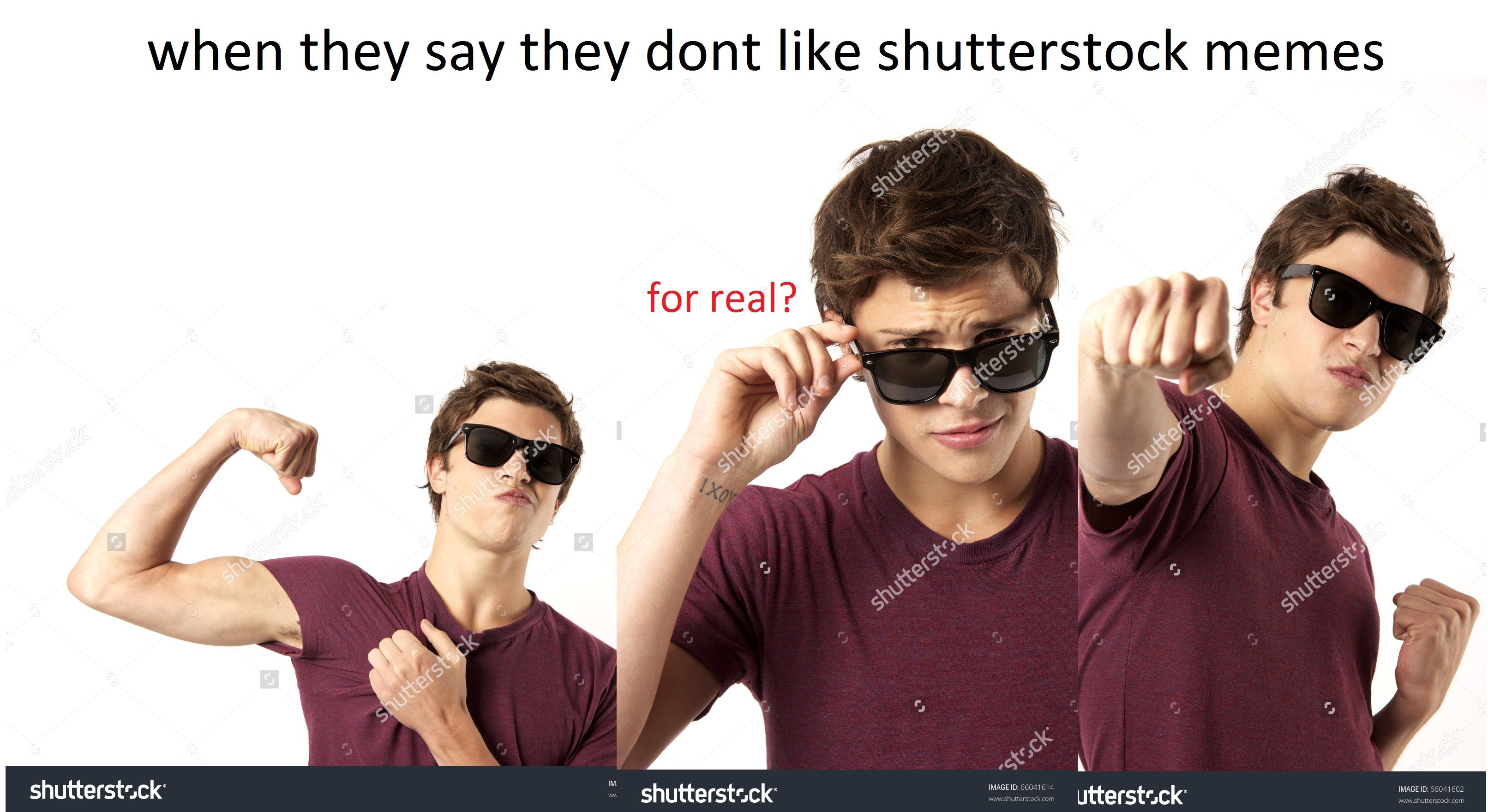 [ insert Shutterstock pun here ]