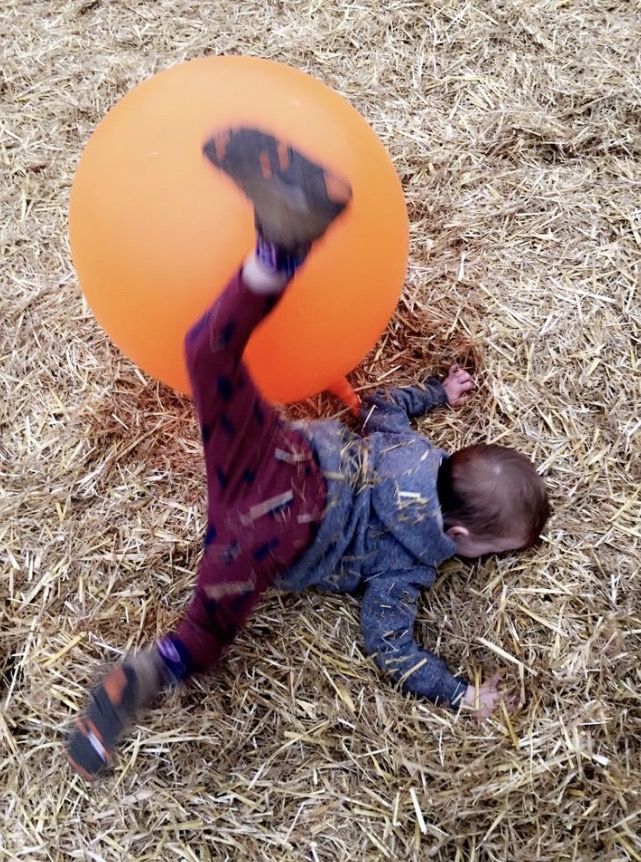 His first trip to the pumpkin patch went smoothly