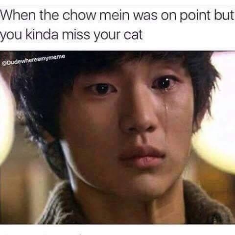 meow mein