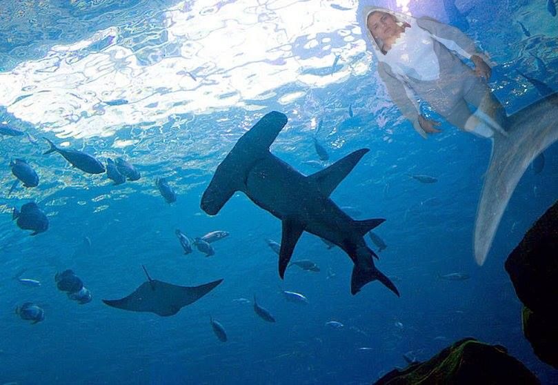 When you heard she's into sharks.