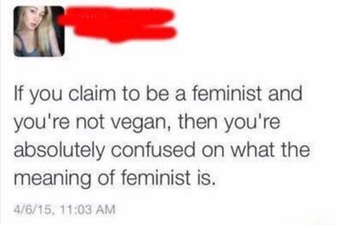 man I'm gonna be honest thanks to her I am now absolutely confused on what the meaning of feminismis