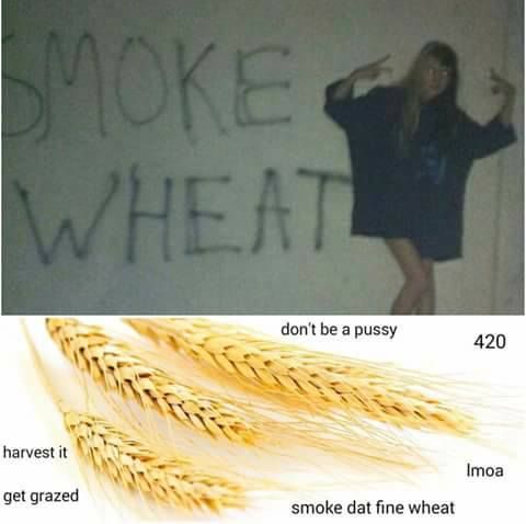 Only the finest wheat