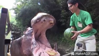 A feminist trying to intimidate an asian male.